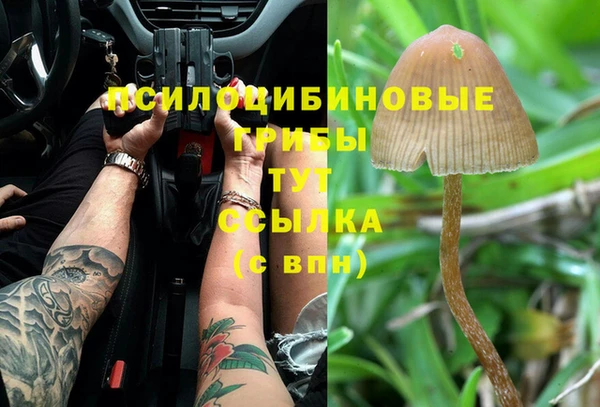MESCALINE Зеленодольск